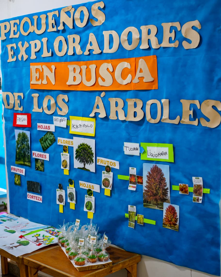 Trabajo de Feria de Ciencias