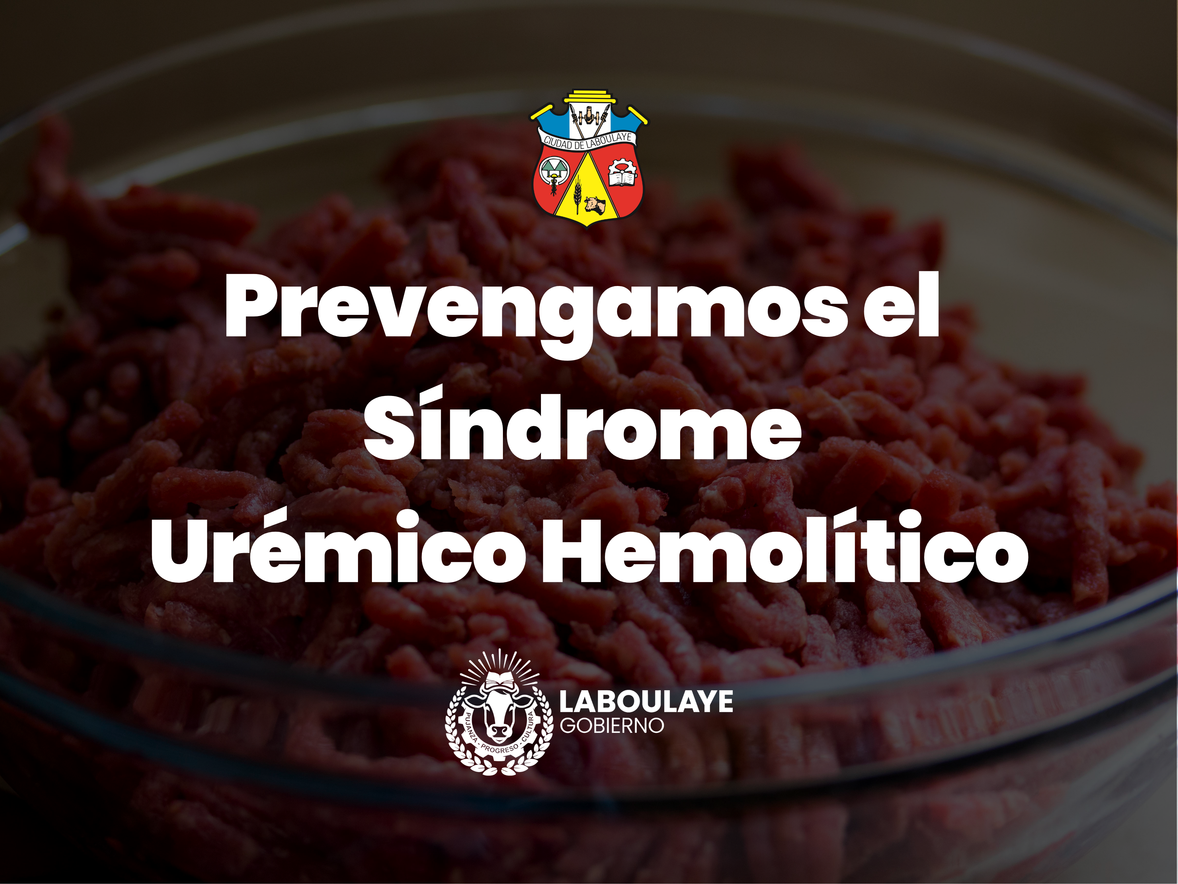 YA SON 9 LOS CASOS DE SÍNDROME URÉMICO HEMOLÍTICO EN LA PROVINCIA